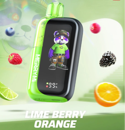 MerryMi Panda 40000