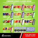 Stag Bar 6in1 180K – 6 in 1 Flavors Disposable Vape | 180,000 Puffs (EU Warehouse) - Image 11